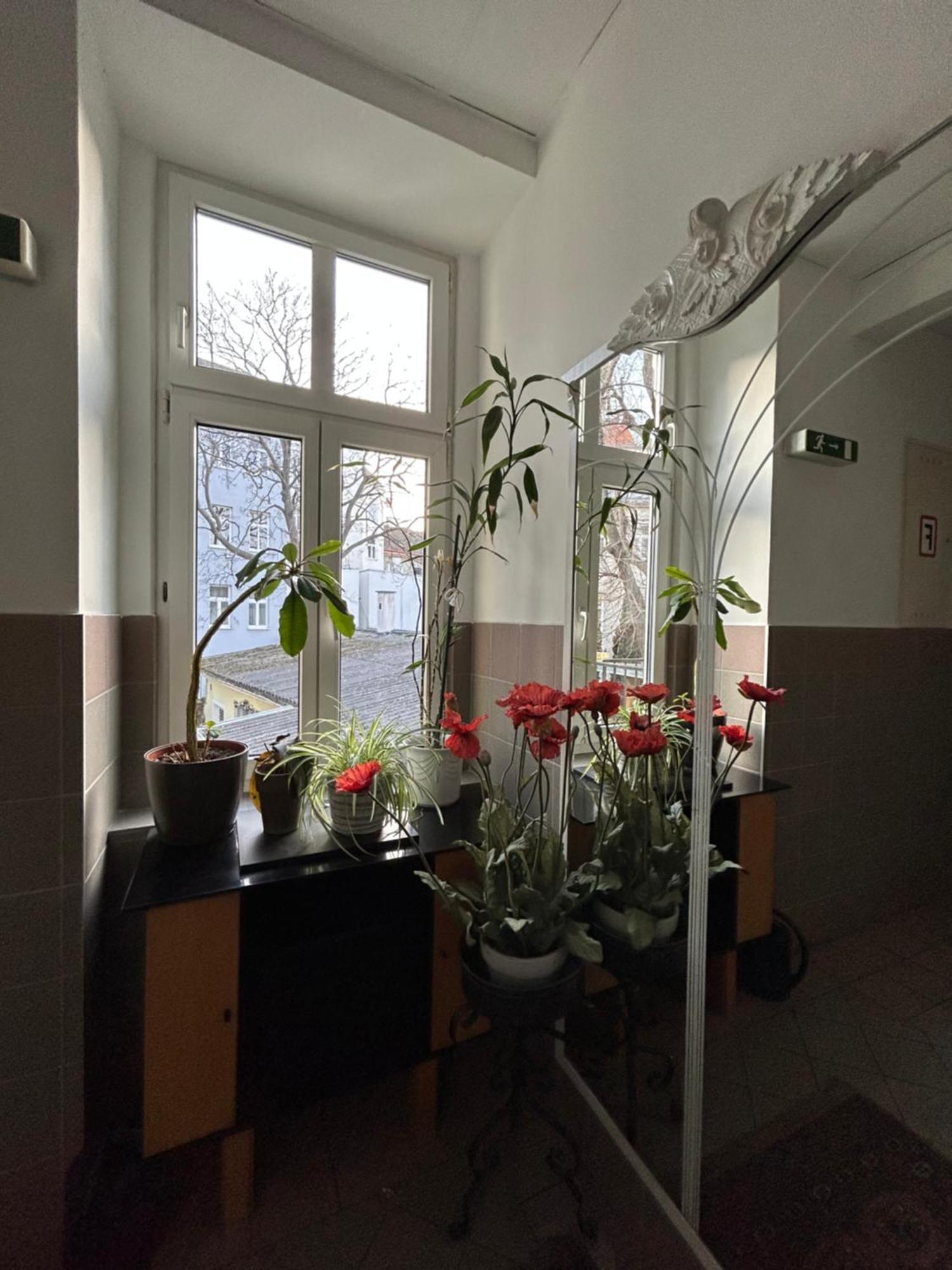 Reiner Apartment Wiedeń Zewnętrze zdjęcie